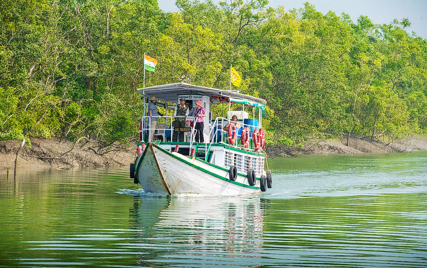 Sundarban 4